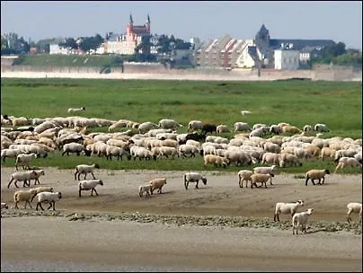 Regard Sur La Baie *